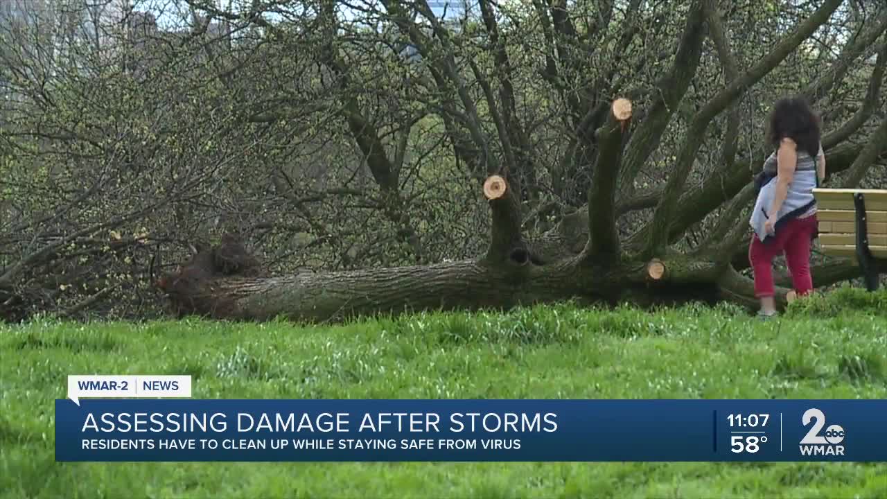 Storm leaves quick and widespread damage