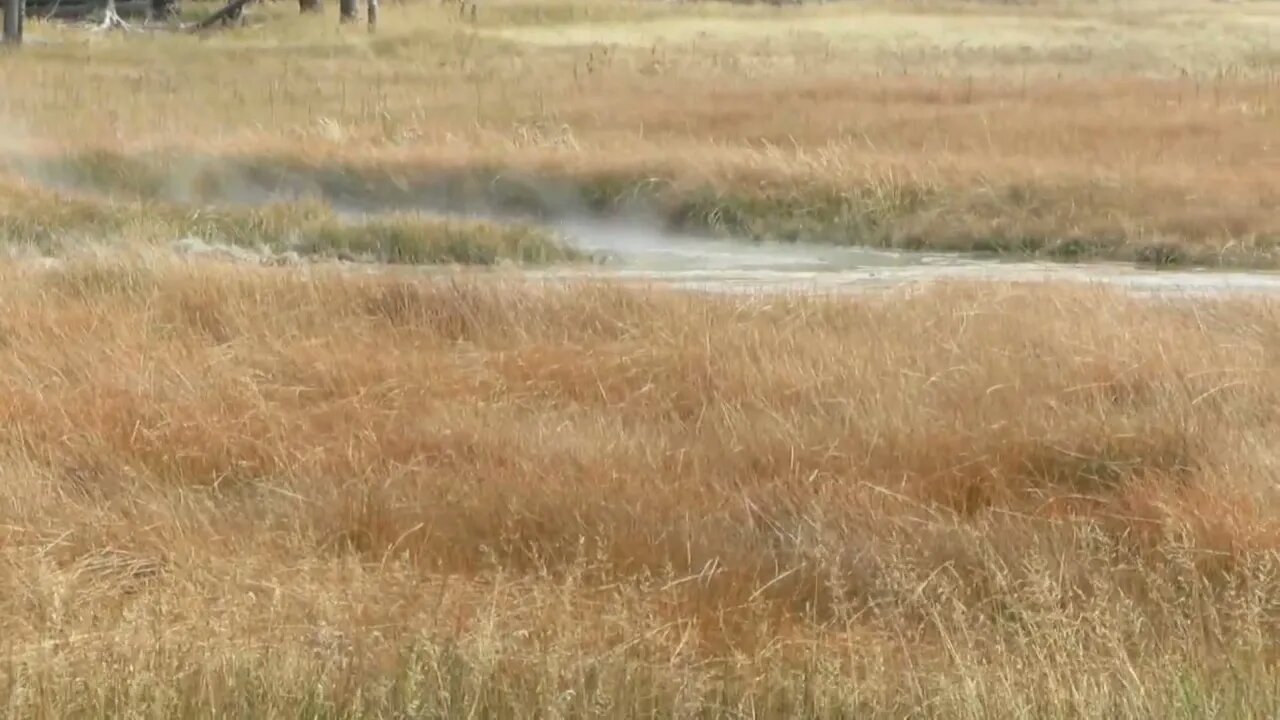 Near the Observation Point Trailhead in the Upper Geyser Basin