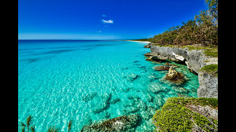 Free New Caledonia