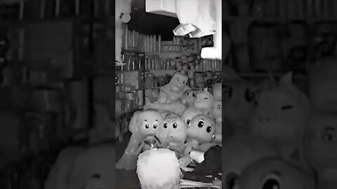 Demon in the Candy Store