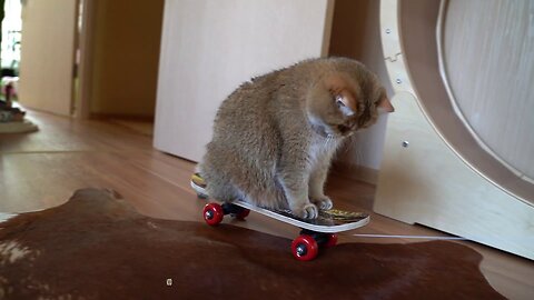 Skateboard