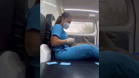 Doggu nurse:#viral #dog #pets #youtubeshortsvideos #shortvideo #nursing #trending