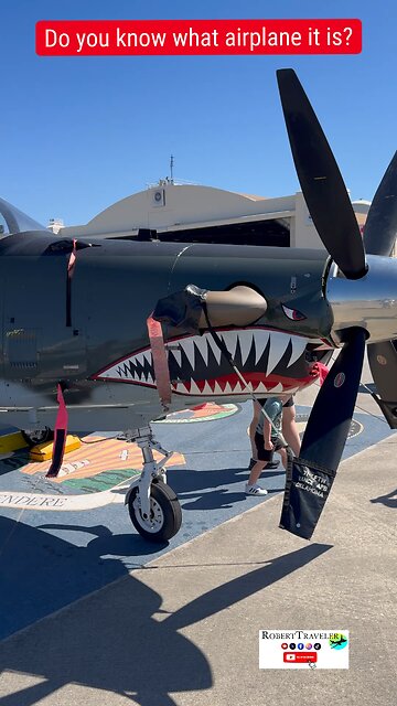 Do you know what airplane it is? #aviatic #robertTraveler #pilot #usanavy #navy #aviation
