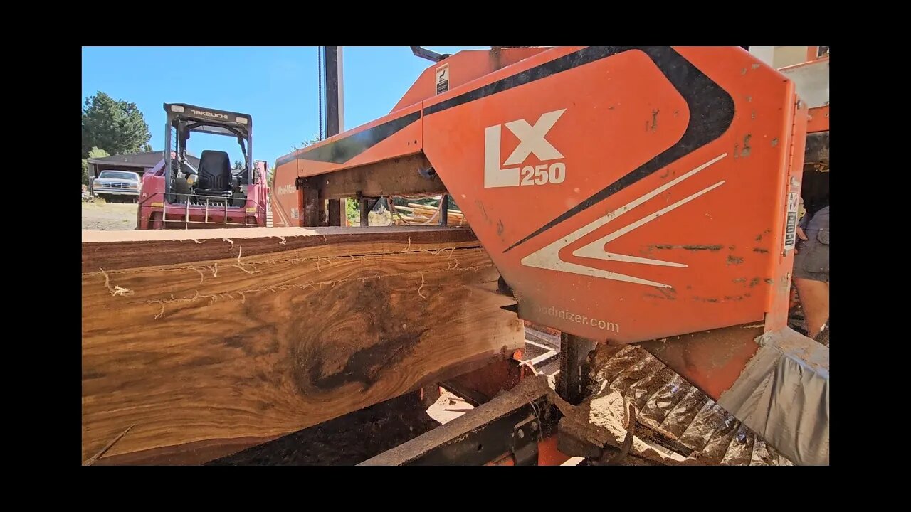 Milling a Beautiful 15 ft Black Walnut Log into Slabs