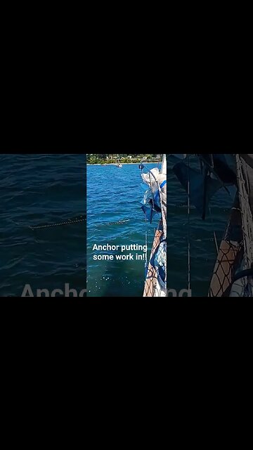 I love this anchor! #rocna #anchor #pnw #shorts