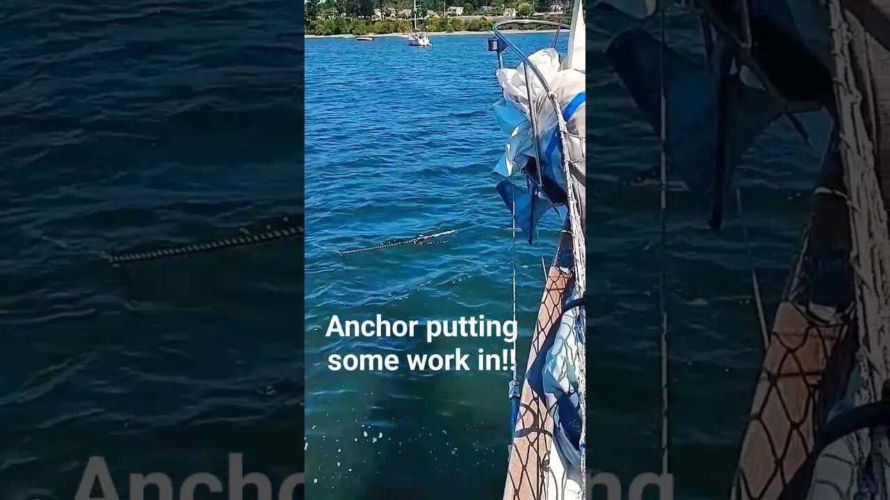 I love this anchor! #rocna #anchor #pnw #shorts