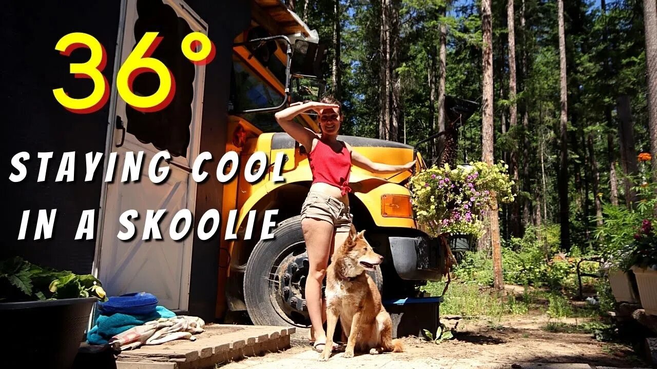 How We Stay Cool Living In An Off Grid Skoolie