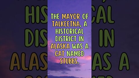 📺Interesting Facts! 👀 #shorts #shortsfact #facts #generalfact #interestingfacts #cat #mayor #alaska