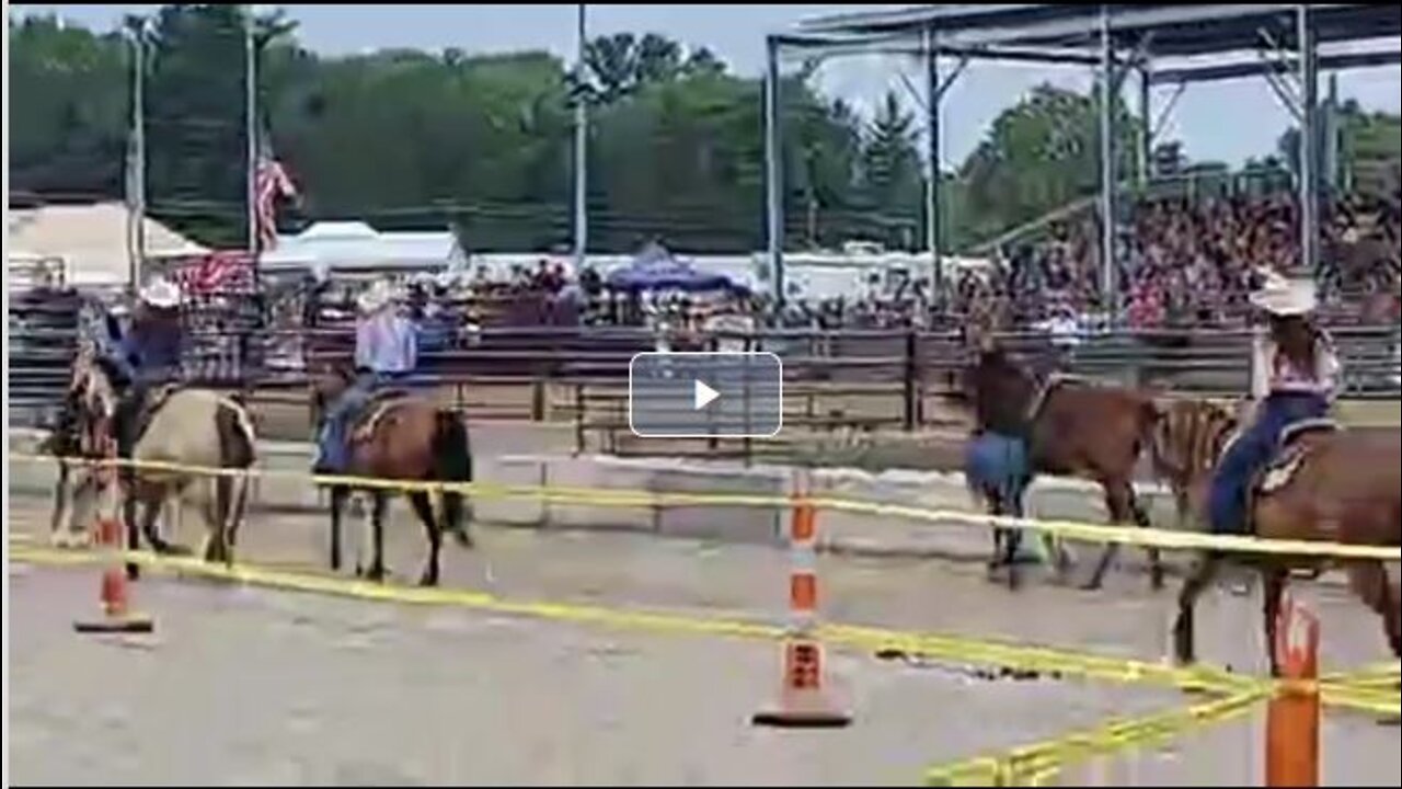 Clermont County Ohio Fair: We're At the RODEO! 🤠