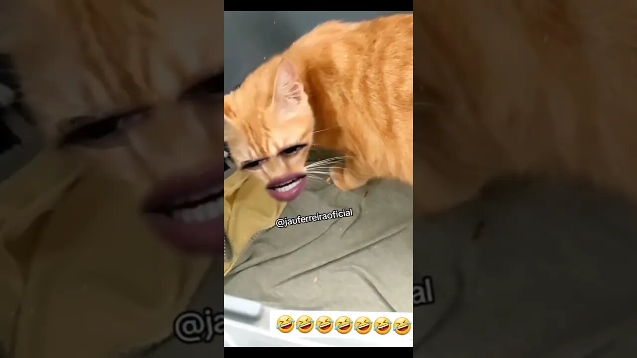 vc vai mi acha mais aqui amanhã kk