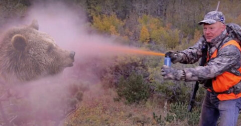 *** MUST WATCH*** The Truth about Bear Spray Vs Guns