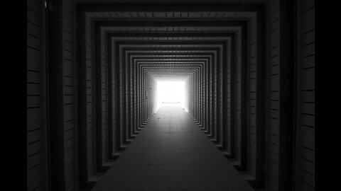 NICHOLAS VENIAMIN: GENE DECODE-LATEST UPDATES