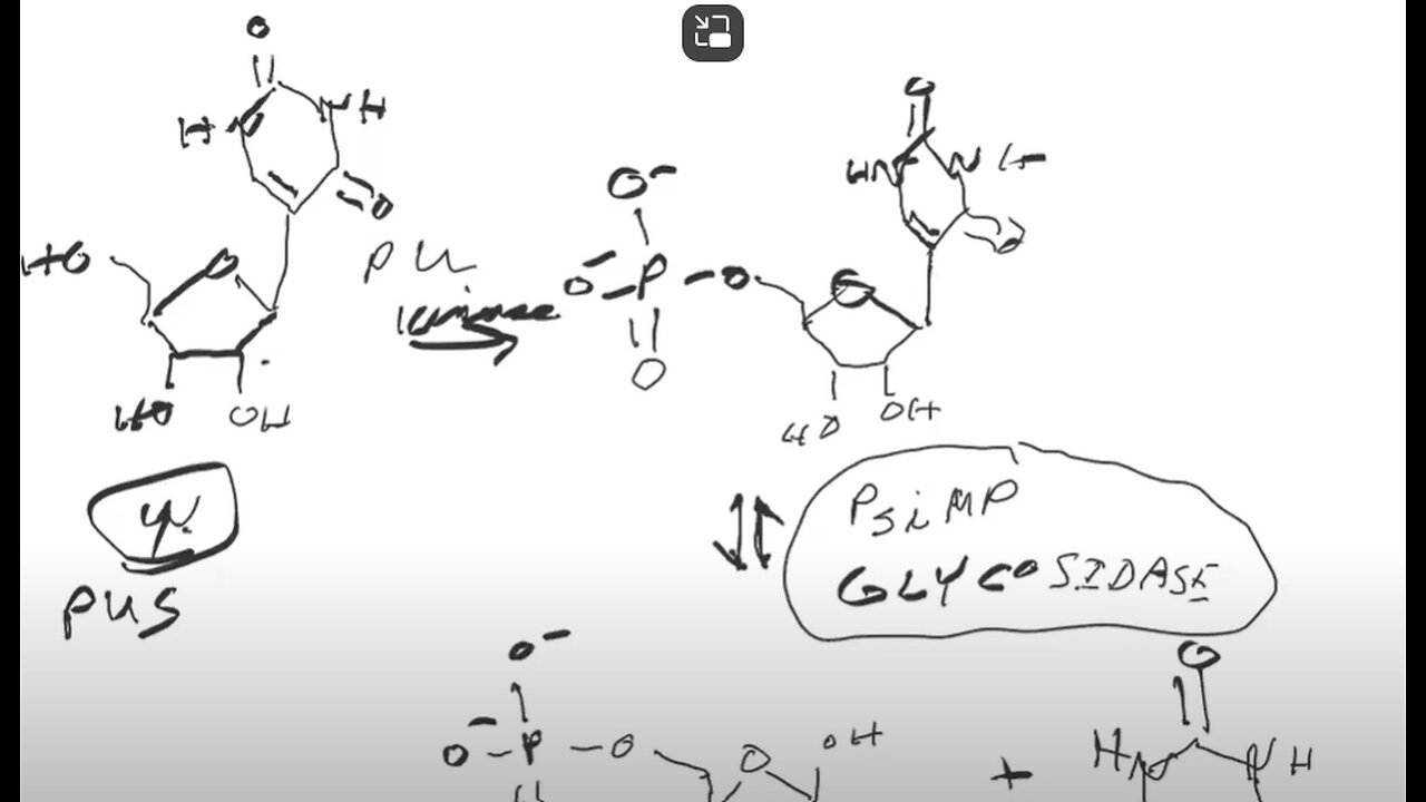 Graveyard Shift Ep51 (Pseudouridine Kinase and methylpseudouridine) by Dr. Paul Cottrell