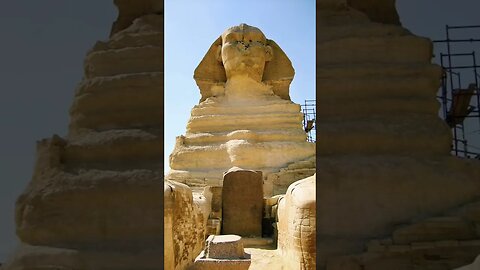 Visiting the Sphinx of Giza in Egypt #shorts