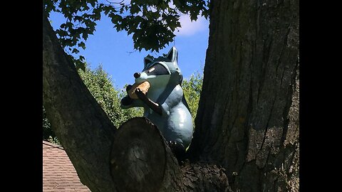 Sculpting Meeko for My Backyard