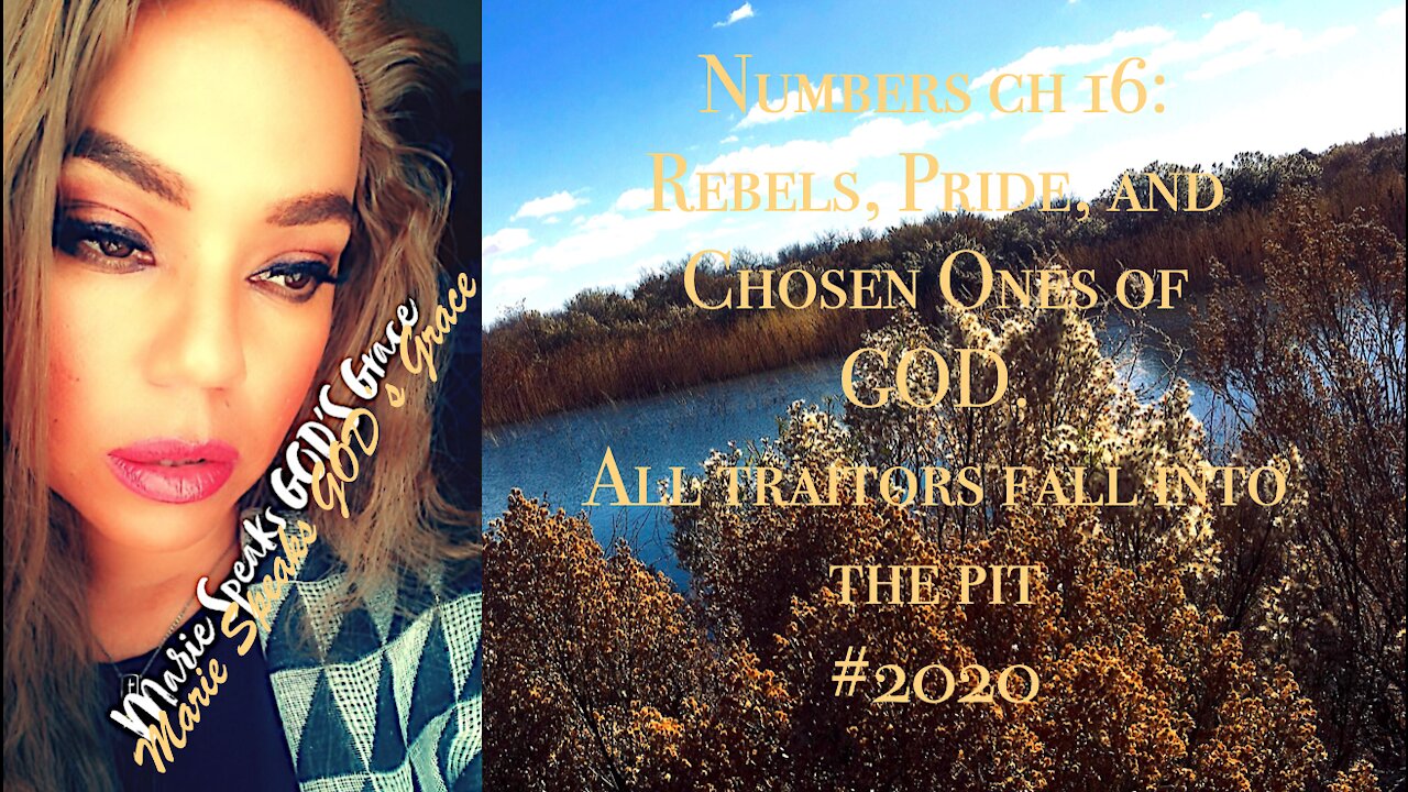 Numbers ch 16: Rebels, Pride, and Chosen Ones of GOD. All traitors fall into the pit .