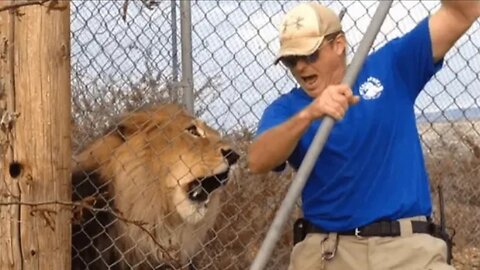 Nature is scary😳 - funny scary animal encounters
