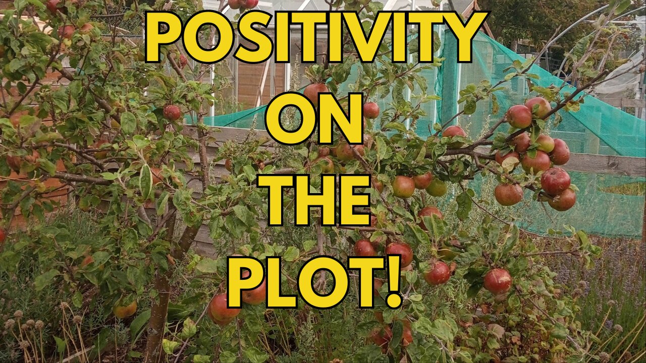 Positivity in our gardens - what to look for!