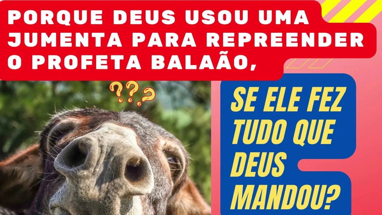 Porque Deus usou uma jumenta para repreender o profeta Balaão, se ele fez tudo que Deus Mandou?