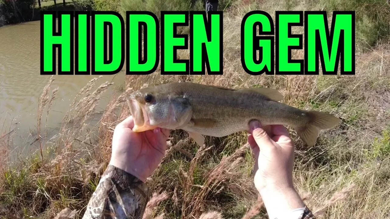 I Found a New HONEY HOLE (LOADED)