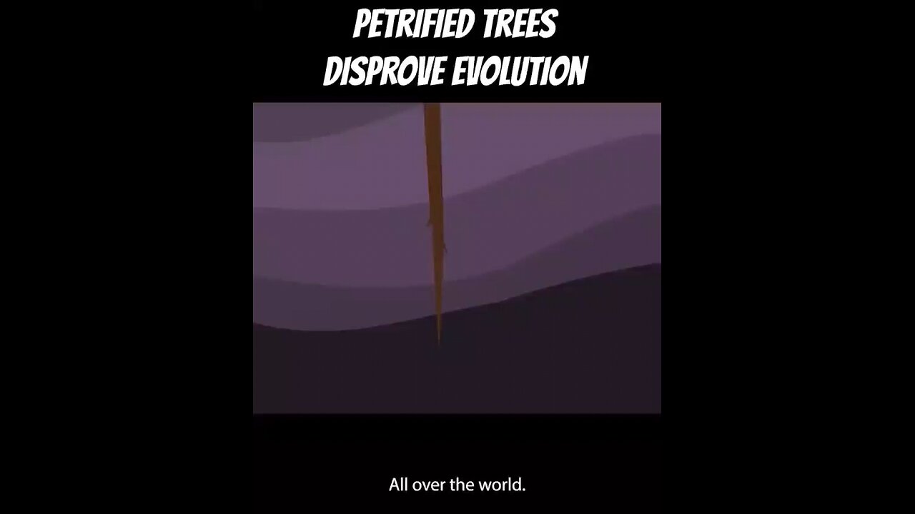 Petrified Trees Disprove Evolution? 🤔🤨😲