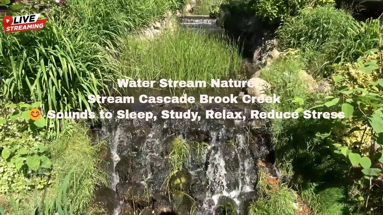 Water Stream Nature 4k Stream Cascade Brook Creek 😊 Sounds to Sleep, Study, Relax, Reduce Stress