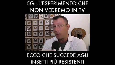Effetti dannosi del 5G.