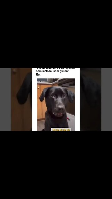 21 de dezembro de 2022