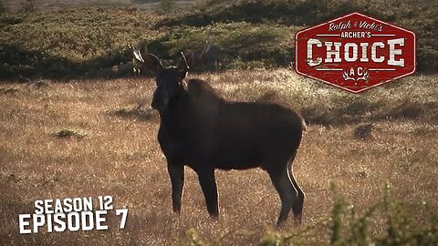 THE ISLAND OF MOOSE MANIA - Archer’s Choice (Full Episode) // S12: Episode 7