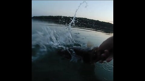 releasing some nice bass