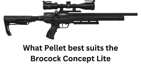 What Pellet best suits the Brocock Concept Lite