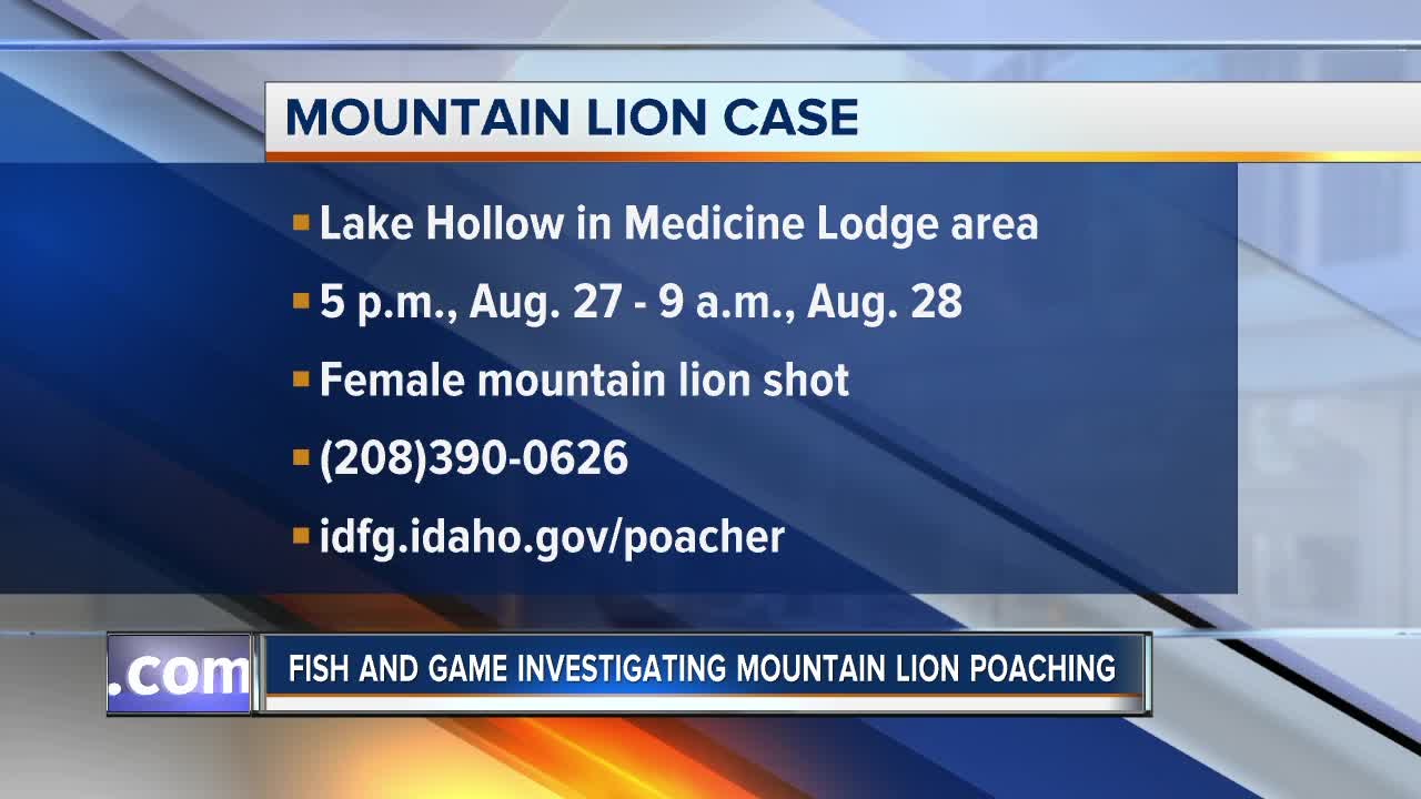 Idaho Fish and Game investigating mountain lion poaching