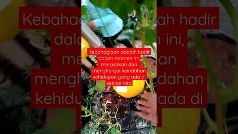 bahagia ada dalam setiap moment