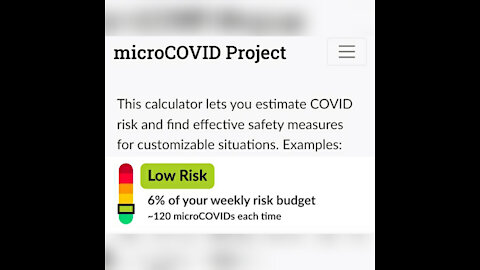 Covid Risk Calculator & Credit Budget: MicroCOVID Project