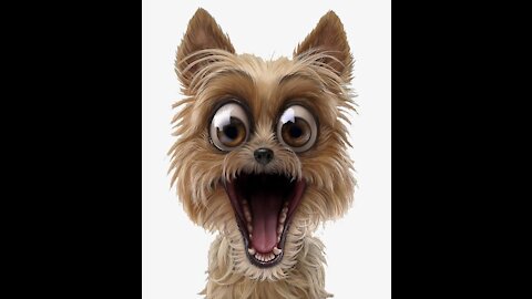 Try Not to Laugh - Funny and Smart Dogs and Brabs