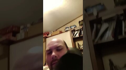 Dose of moonpie #shortsfeed #shorts #shortsvideo #youtubeshorts #catvideos #cat