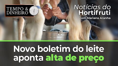 Novo boletim do leite aponta alta de preço