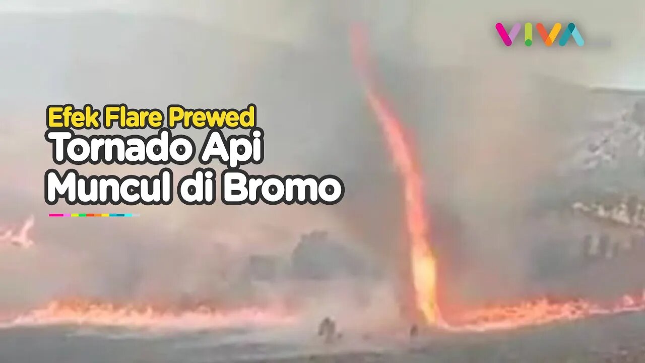 MENGGILA! Tornado Api Muncul di TNBTS Bromo, Flora-Fauna Terancam!