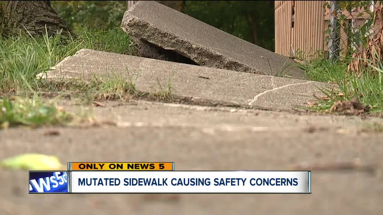 Residents fed up with dangerous deformed sidewalk, say it feels as though they live in 'lost zone'