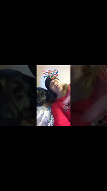 #goodnight #petfriendly