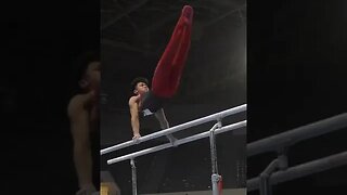 Yul Moldauer Parallel Bars - 2023 Winter Cup #shorts