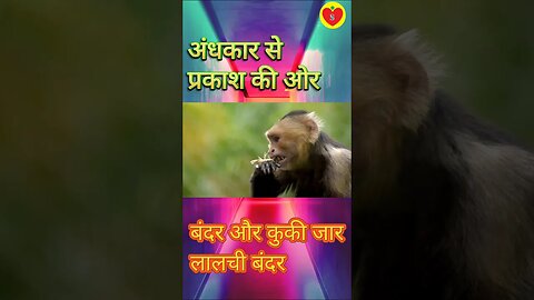 बंदर और कुकी जार । लालची बंदर । लालच बुरी बला है। #shorts #viral #youtubeshorts