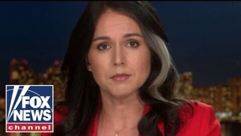 Tulsi Gabbard: Labs need to be 'shut down immediately'