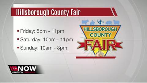 Hillsborough County Fair kicks off with $1 admission, rides on Thursday
