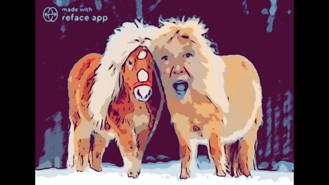 The Ultimate Donald Trump Pony Meme! 🐴