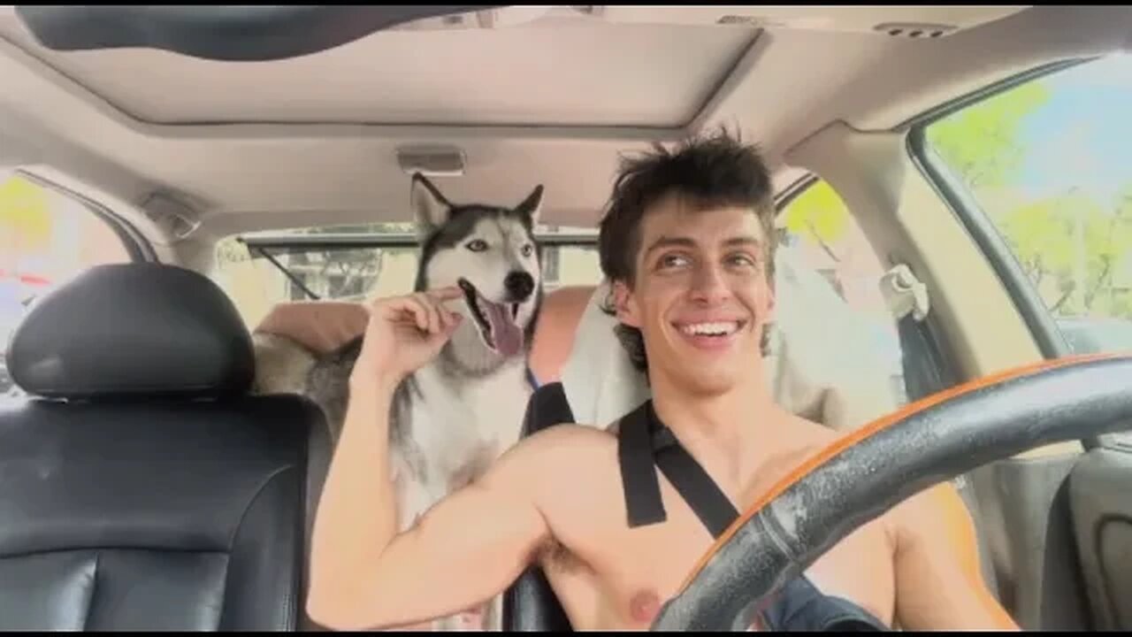 How I keep my Husky in the backseat of my car