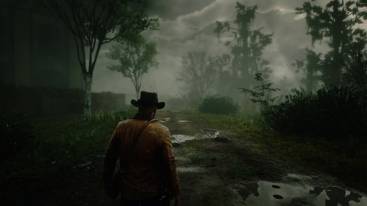 RTX 3080 ➤ Red Dead Redemption 2 Ultra Max Graphics