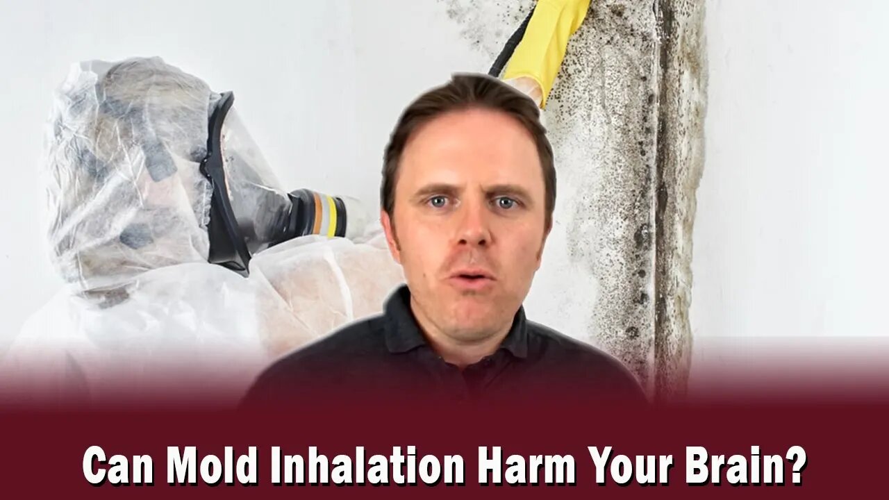 Can Mold Inhalation Harm Your Brain?