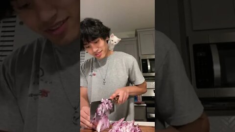 Aww so cute Video By ny3in