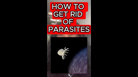 Parasites ⚠️